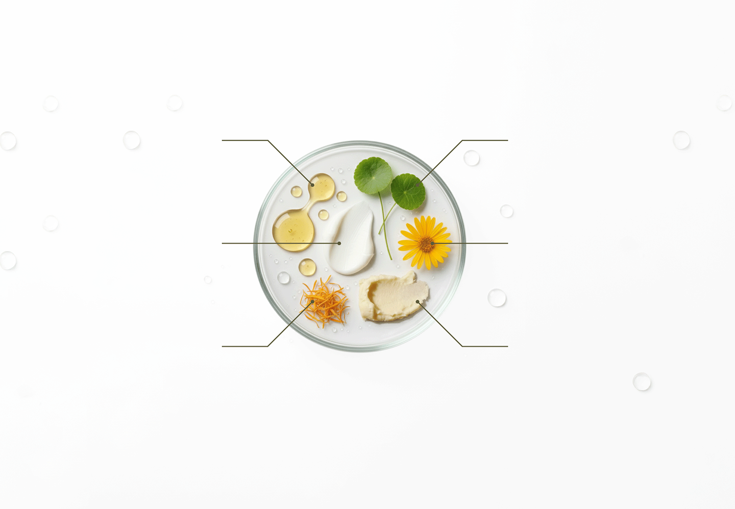 Ingredientes naturales de la Crema Equilibrio Natural